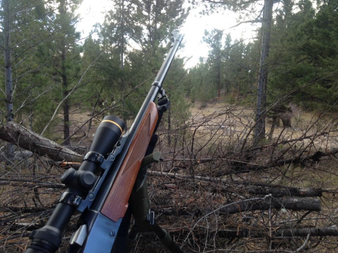 1657031620248.png 1657031620248.png