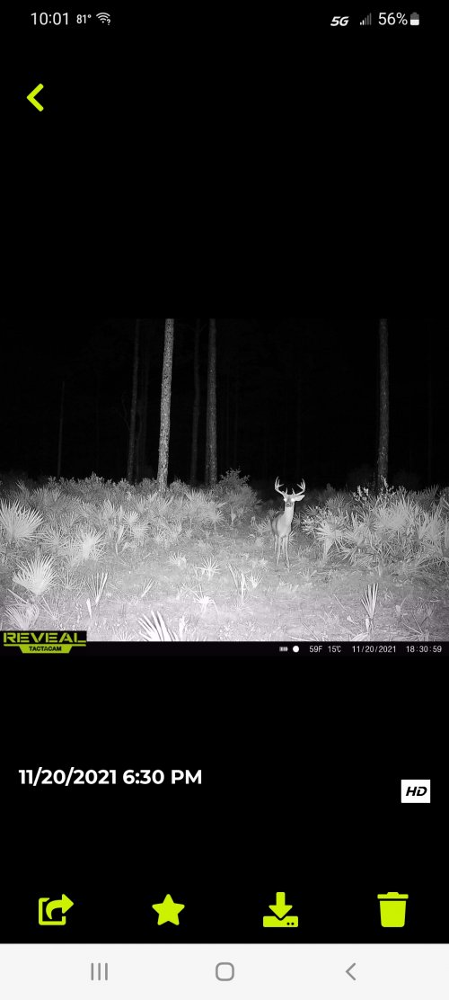 Screenshot_20220706-220132_Tactacam Reveal.jpg