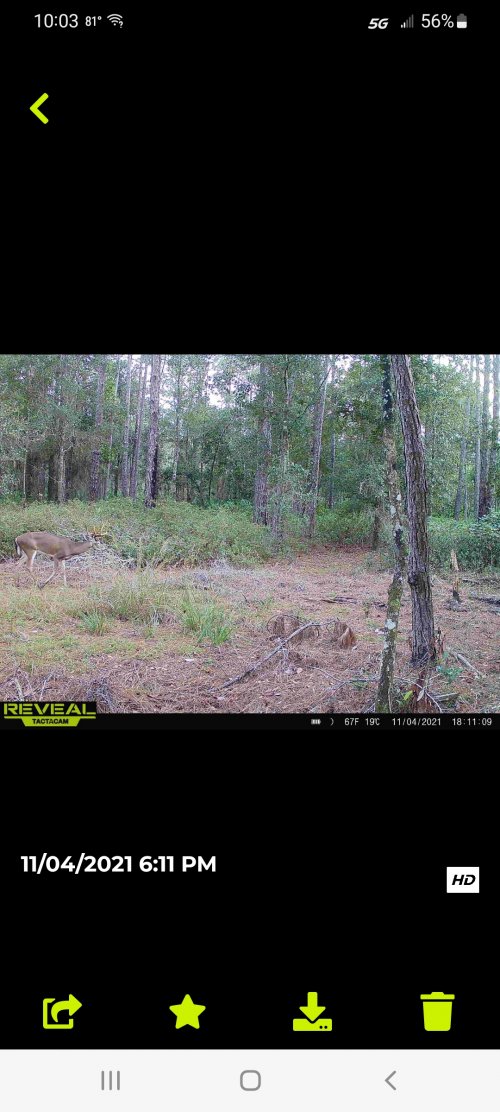 Screenshot_20220706-220302_Tactacam Reveal.jpg