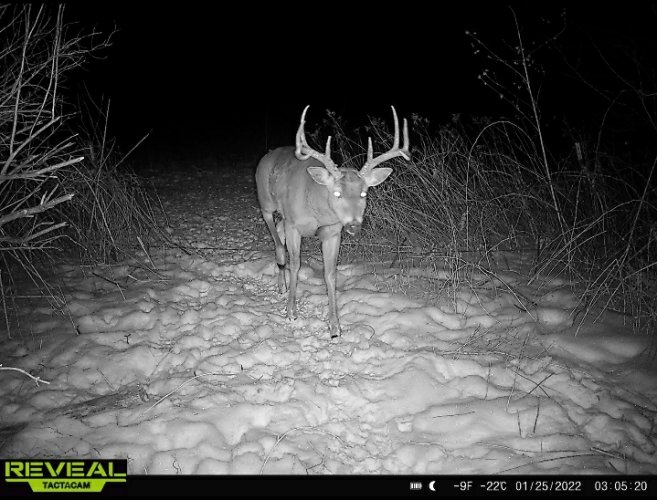 Screenshot_20220128-141320_Gallery.jpg Screenshot_20220128-141320_Gallery.jpg