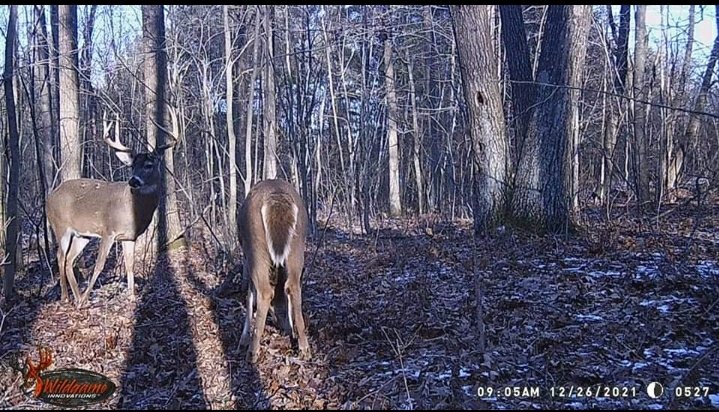 Screenshot_20211230-195227_Gallery.jpg Screenshot_20211230-195227_Gallery.jpg