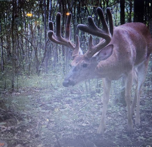 20210808_200911.jpg 20210808_200911.jpg