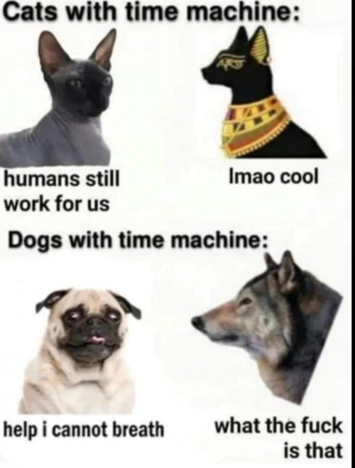 FWMnkvFX0AIuvAf.jpeg
