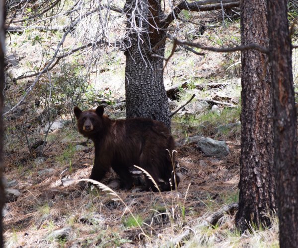 DSC_0054.JPG DSC_0054.JPG