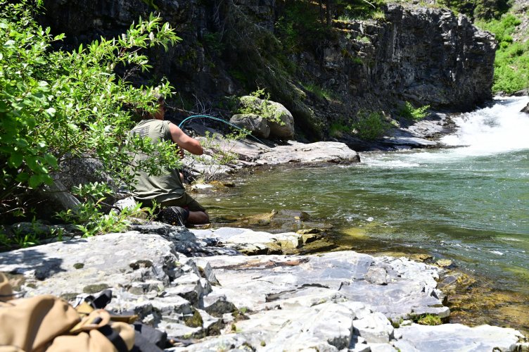DSC_8044.jpg DSC_8044.jpg