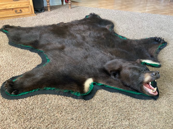 rug21.jpg rug21.jpg