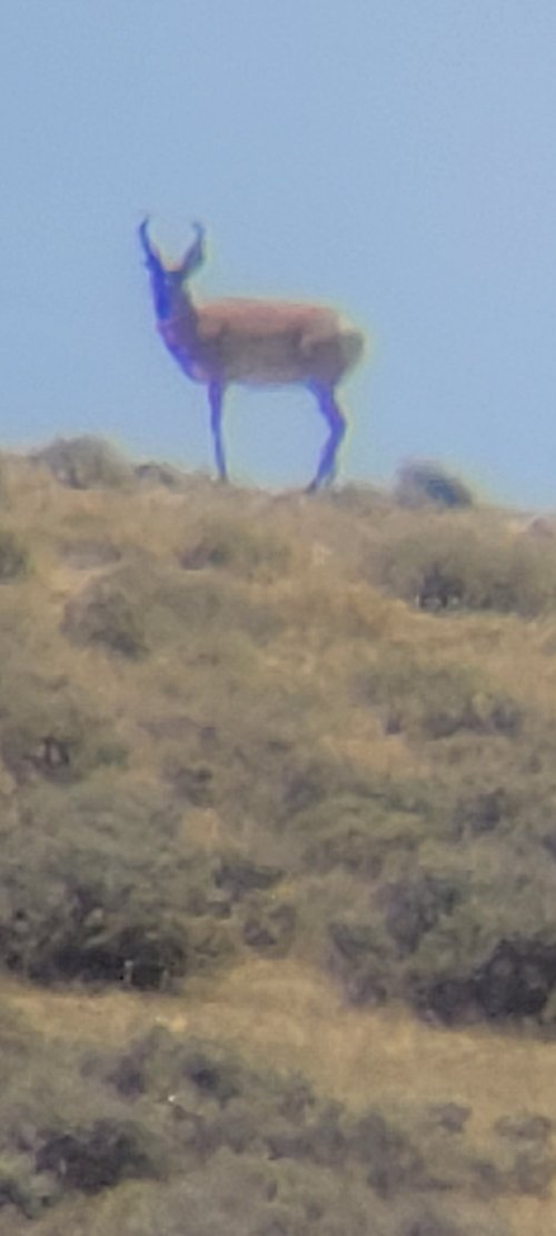 20220712_124935.jpg 20220712_124935.jpg