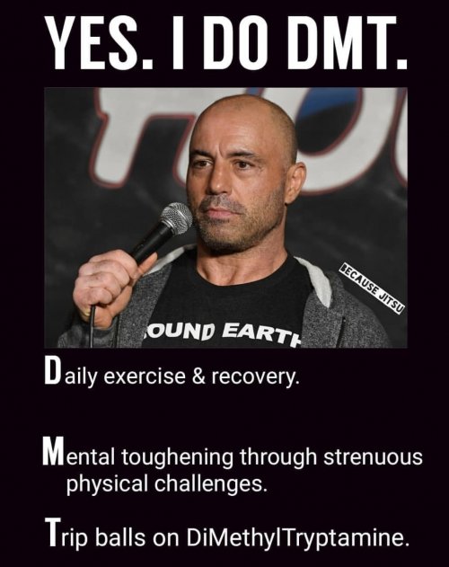 dmt.jpg dmt.jpg