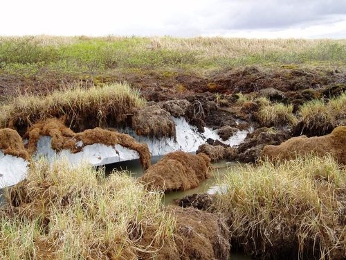 Permafrost.JPG