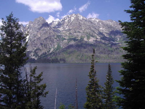 Jenny Lake 1.jpg