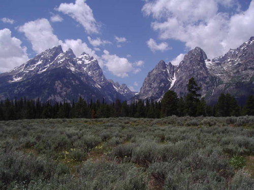 Teton1.jpg