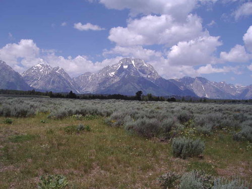 Teton2.jpg