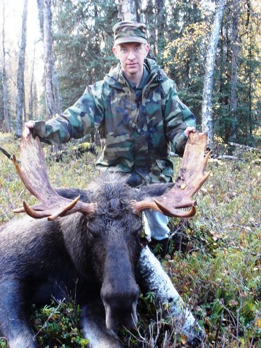 Jason's moose4.JPG