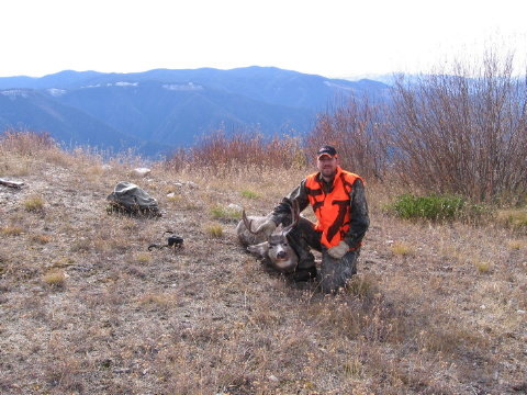 rshunting 010.JPG