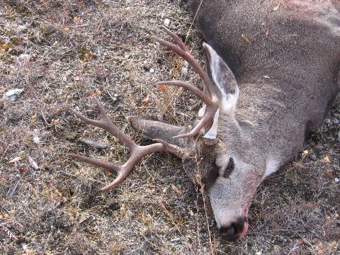hunting 013.jpg