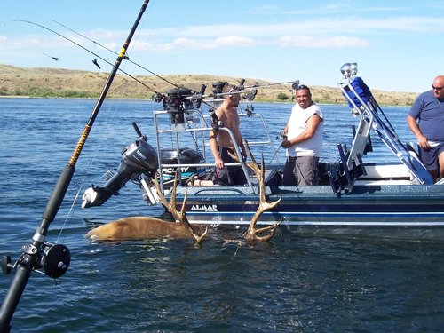 Elk Fishing 1.jpg