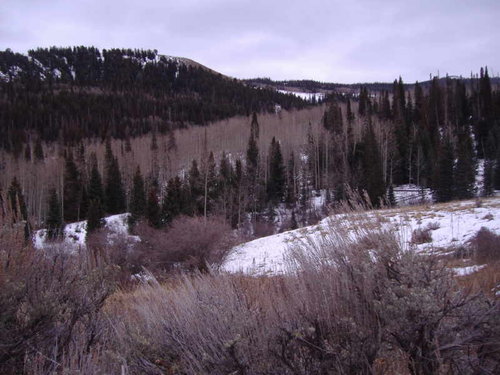 06 Wilderness area.jpg