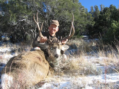 NV 2006 Deer 1-1.JPG