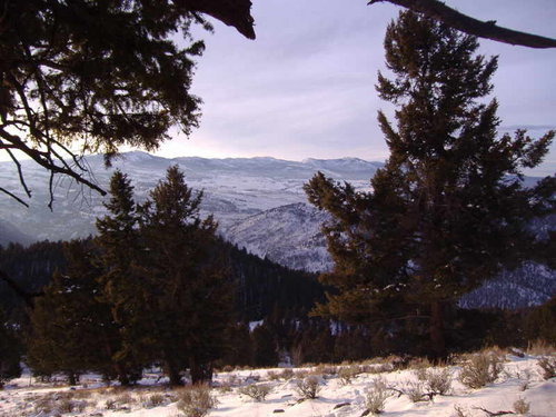 Montana 06 hunt view.jpg