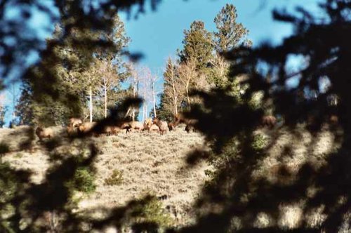 007_19.jpg