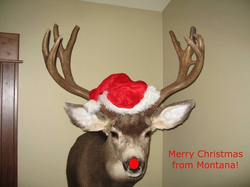 Rudolph.JPG