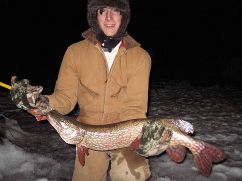 7.5 lb. Pike.jpg