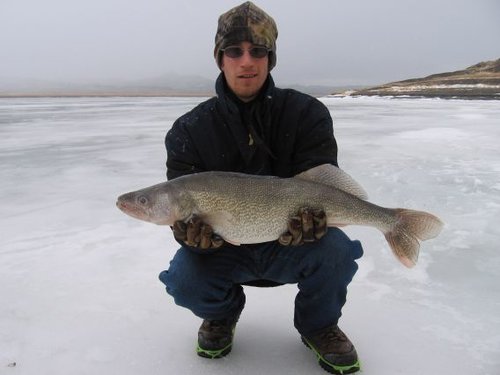 10 lb Walleye.jpg