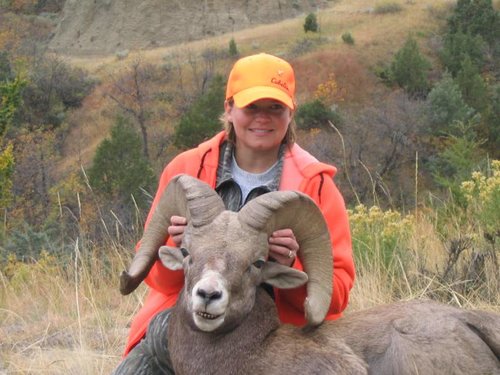 2005 Artz Sheep1 HT.JPG