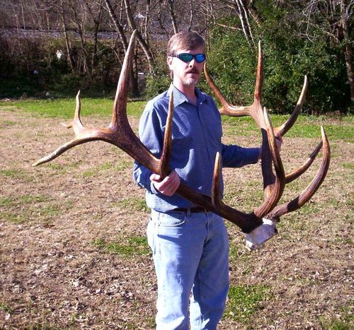 Road Kill 2.jpg