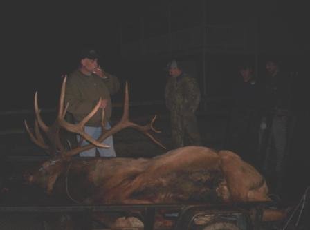 Road Kill.jpg