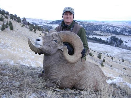 Bryan_s_06_MT_Bighorn__quartered_view.JPG