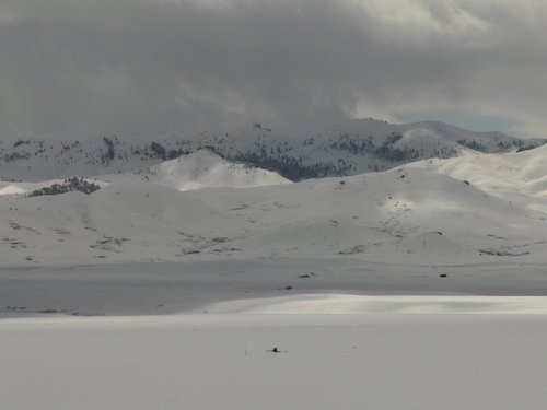 P1020019a_comp.JPG