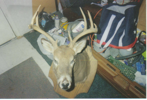 04-12-2007 08;28;08PM.JPG