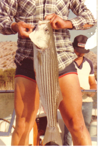 04-14-2007 09;16;01PM.JPG