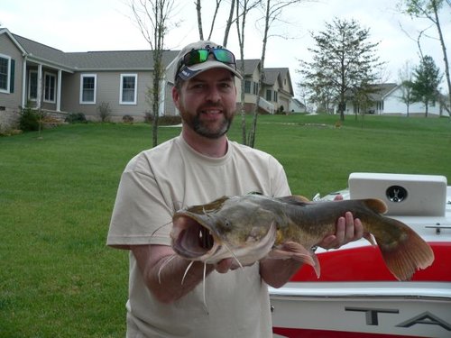 catfish-side-view2.jpg