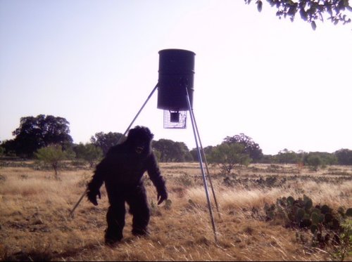 BIG_FOOT.jpg