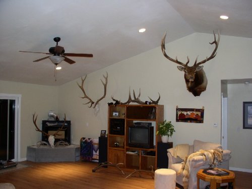 living_room05.JPG