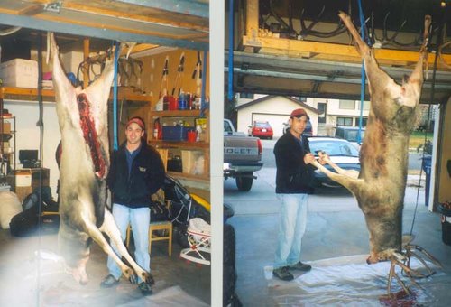 2001 Muley Hanging2.jpg