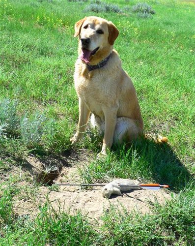 Ax & squirrel (Medium).jpg