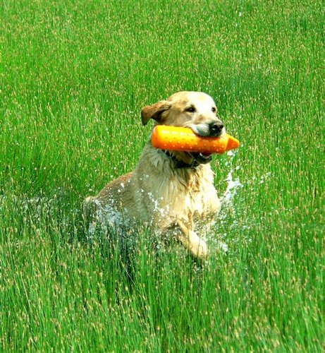 Happy Axl (Medium).jpg