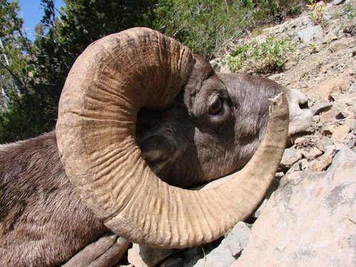 DSC08354.jpg DSC08354.jpg