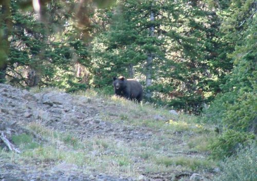 DSC08279.jpg DSC08279.jpg