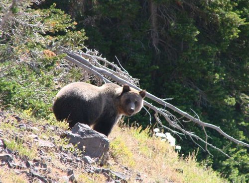 DSC05131.jpg DSC05131.jpg