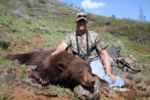 Bear 2011.JPG