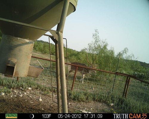 PRMS0323.jpg