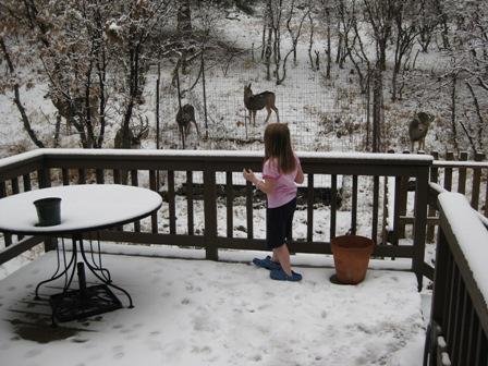 Kiki on the back porch.jpg
