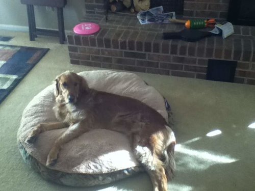 From Ipod 032.jpg