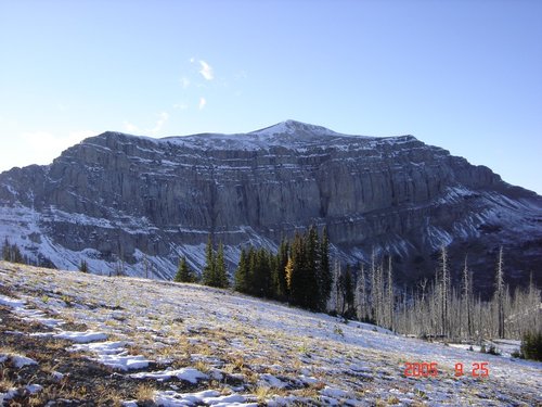 CDT Trail.jpg