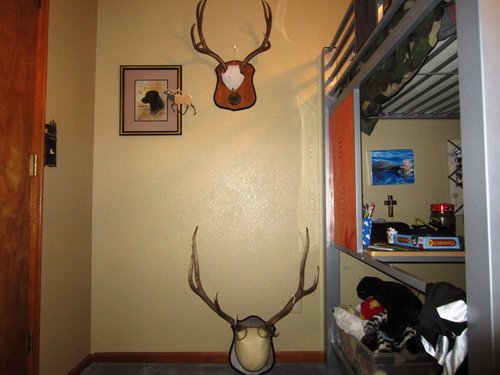 B'smountpic.jpg