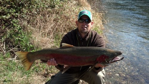 IMG_20130403_101444_448 (800x451).jpg